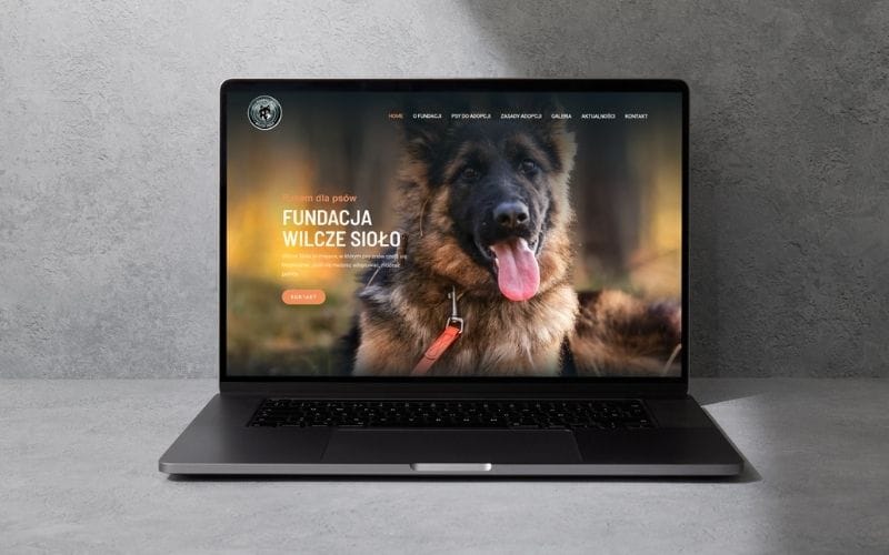 Bydgoszcz projektowanie stron www projekt strony www dla fundacji